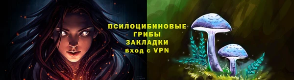 спиды Осинники