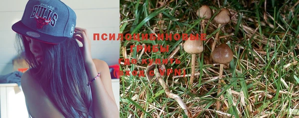 спиды Осинники
