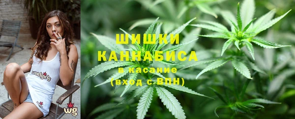 спиды Осинники