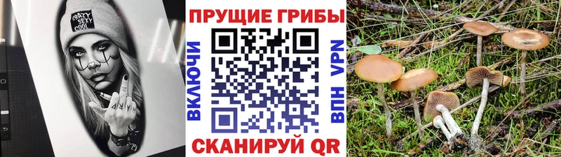 цены   Лесозаводск  Псилоцибиновые грибы ЛСД 